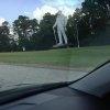 20130624IMG_0285